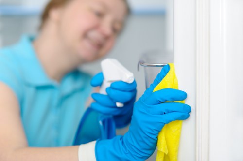 Professional window cleaning for Brompton homes and period properties