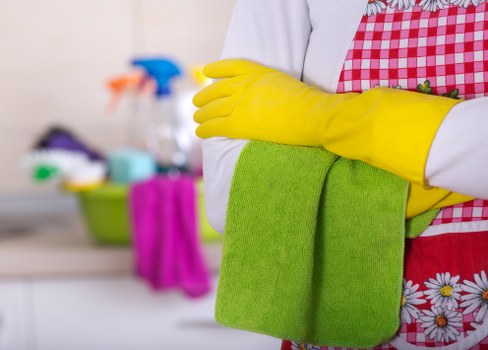 Review of a carpet cleaning service concern after an appointment