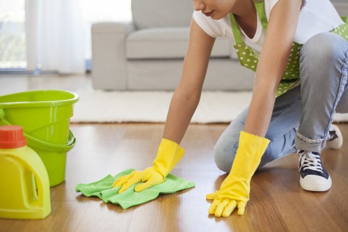 Cleaning a built-in oven in a Brompton home